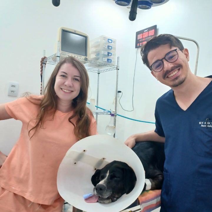 Equipe veterinária DS VET Guará II Brasília