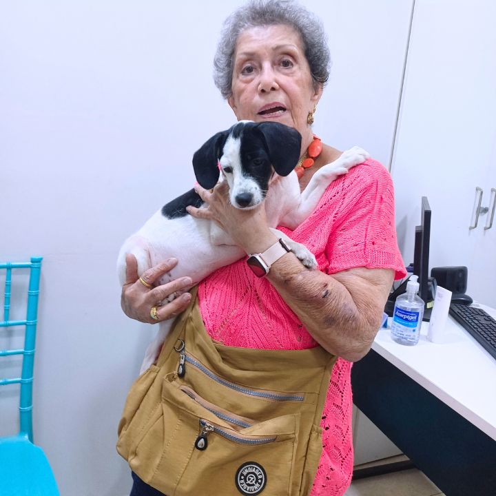 Tutora com pet na DS VET clínica veterinária Guará II